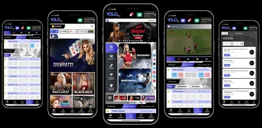 Yolo247 Mobile App Interface